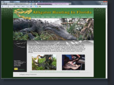 website design